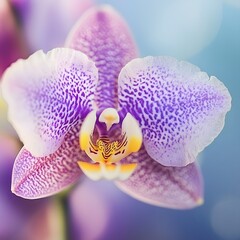 Captivating close-up shot of a vibrant purple orchid flower in full bloom, showcasing its delicate petals, intricate patterns, and stunning color palette.