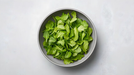 Fresh arugula salad in grey bowl on light surface. Possible use for healthy food content
