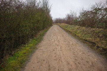 Serene dirt pathway through winter landscape