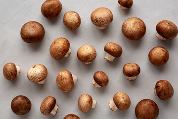 Raw Royal Brown Champignon, top view.