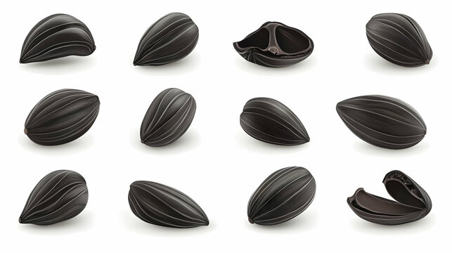 Realistic sunflower seeds, various angles, whole and cracked, on white background.  Possible use Educational materials, nutrition guides, food packaging design