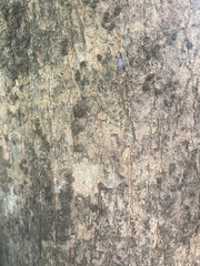 texture of stone