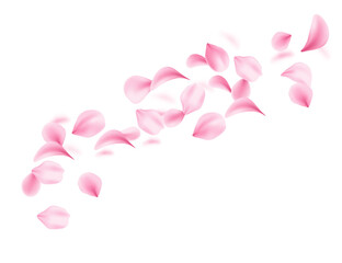 Flying soft pink petals scattered in air. 3d realistic style. Blossom Leaf collection varied shapes. Vector illustration isolated on white background