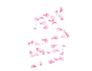 Flying soft pink petals scattered in air. 3d realistic style. Blossom Leaf collection varied shapes. Vector illustration isolated on white background
