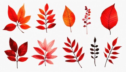 Fototapeta premium Autumn watercolor botanical collection
