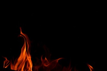 Fire flames on a black background. Burning firewood in the fireplace, close-up