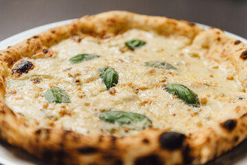 Close up of Cheese Pizza with a creamy signature sauce, featuring mozzarella, gorgonzola, parmesan, brie, and fontina, topped with fresh basil for an aromatic finish. Served on a metal plate