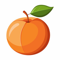 Apricot Icon with reflection on white background