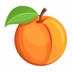 Apricot Icon with reflection on white background