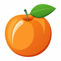 Apricot Icon with reflection on white background
