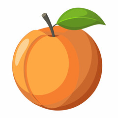 Apricot Icon with reflection on white background