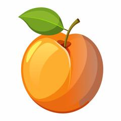 Apricot Icon with reflection on white background