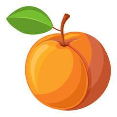 Apricot Icon with reflection on white background