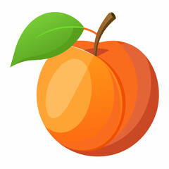 Apricot Icon with reflection on white background