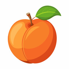 Apricot Icon with reflection on white background