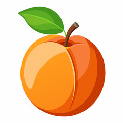 Apricot Icon with reflection on white background