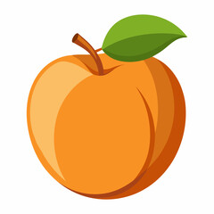 Apricot Icon with reflection on white background