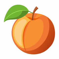 Apricot Icon with reflection on white background