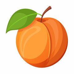 Apricot Icon with reflection on white background