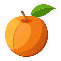 Apricot Icon with reflection on white background
