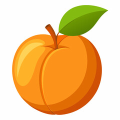 Apricot Icon with reflection on white background