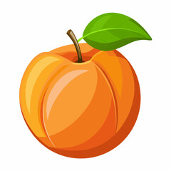 Apricot Icon with reflection on white background