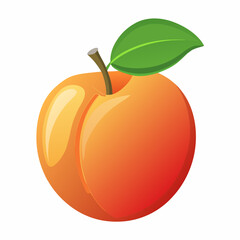 Apricot Icon with reflection on white background