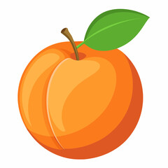 Apricot Icon with reflection on white background