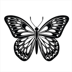 black butterfly vector illustration