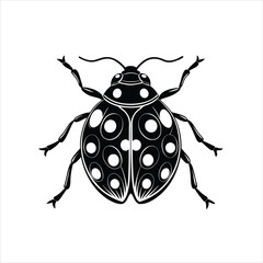 vector illustration of a ladybug