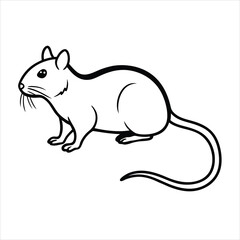 vector illustration of a white rat