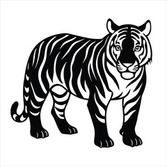 tiger vector illustration