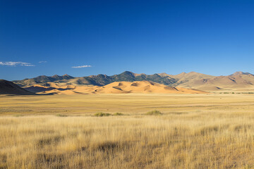 Fototapeta premium A vast desert with rolling golden dunes under a clear blue sky