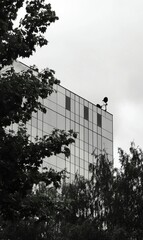 Obraz premium Modern building facade seen through trees, monochrome urban scene