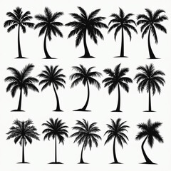 Collection of Black Silhouette Palm Trees vector art bundle design 