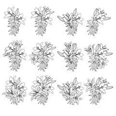 Set of lily bouquets in doodle style. Vector illustration isolated on white background.