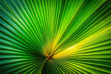 Obraz premium Abstract Palm Leaf Panoramic: Lush Tropical Green Gradient Background