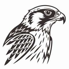 Creative animal icon Falcon vector illustration
