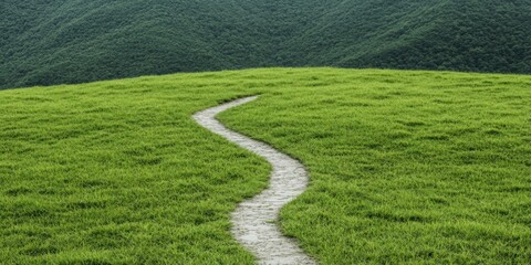Serene winding path through lush green grass hills under clear blue sky, inviting nature enthusiasts for a peaceful outdoor adventure