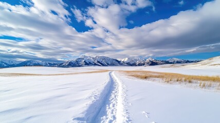 Snowy trail leading to mountains under blue sky