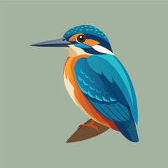 Obraz premium kingfisher bird.eps
