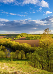 Fototapeta premium Beautiful landscape with a river and trees