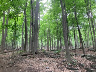 Random snapshot in Toronto, Canada