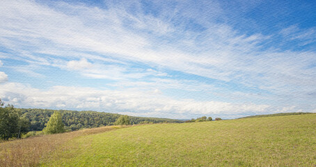 Field of grass with a blue sky in the background