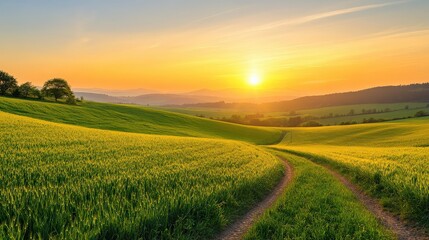 Obraz premium Farmers discussing soil health and sustainable farming practices in a green field during sunrise.