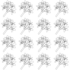 Lily flowers in doodle style. Seamless pattern. Vector illustration.