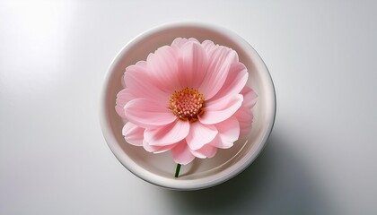 pink flowers