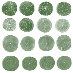 set of tree top view for landscape plan and architecture element. Trees plan  © tanpimon