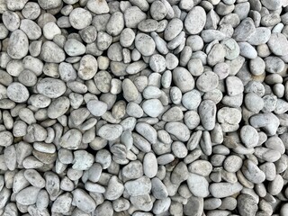 Dull White Pebbles texture. Top view of natural pebble stone