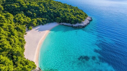 Fototapeta premium Serene beach with turquoise waters and lush greenery